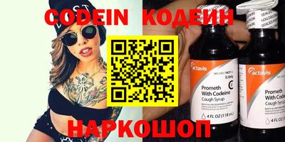 крисы Можга