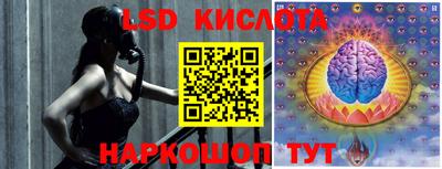 крисы Можга