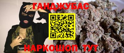 крисы Можга