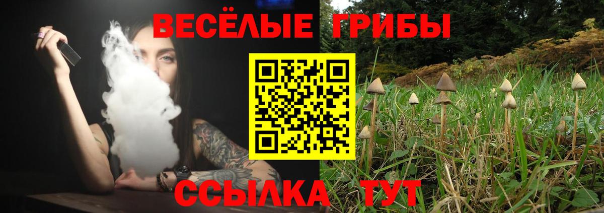 Галлюциногенные грибы GOLDEN TEACHER Тихорецк