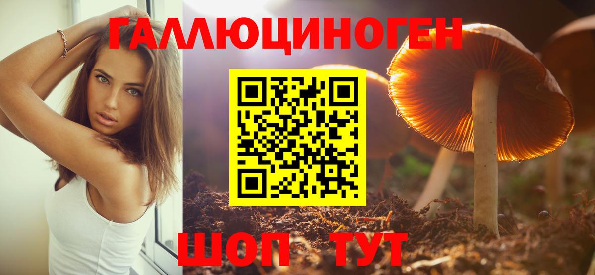 Тихорецк  Галлюциногенные грибы Magic Shrooms  Вход с VPN 